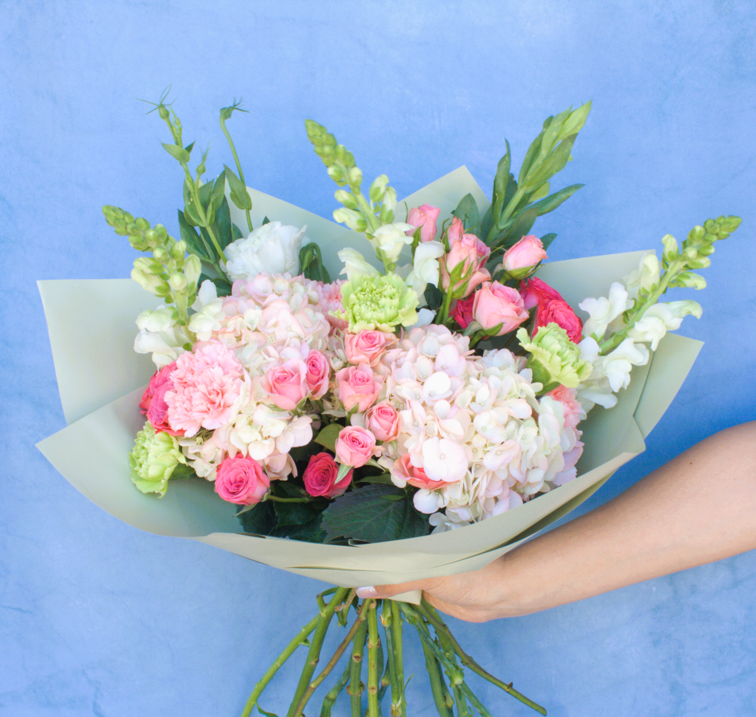 Hortensias minirosas alt